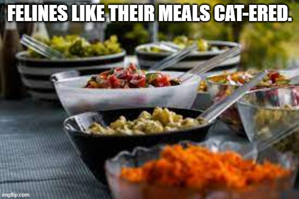 meme by Brad cats like meals cat-ered | FELINES LIKE THEIR MEALS CAT-ERED. | image tagged in cat meme | made w/ Imgflip meme maker