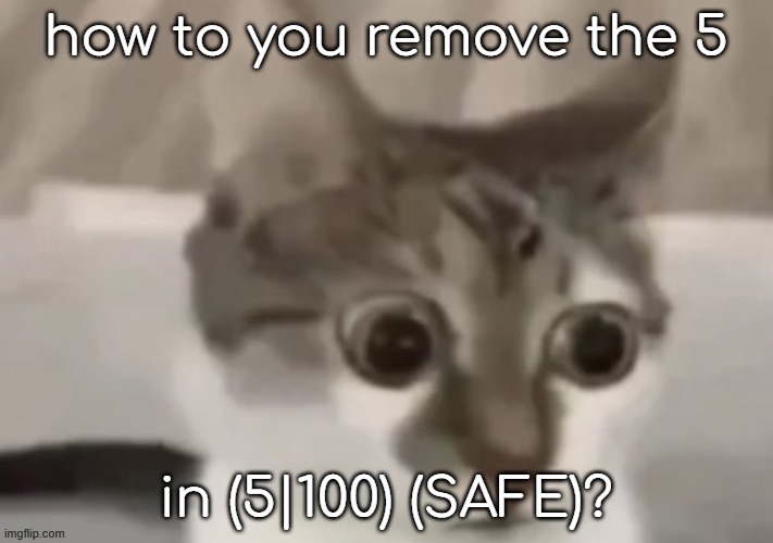 You cant, it's just nuclear level.  | how to you remove the 5; in (5|100) (SAFE)? | image tagged in bombastic side eye cat | made w/ Imgflip meme maker