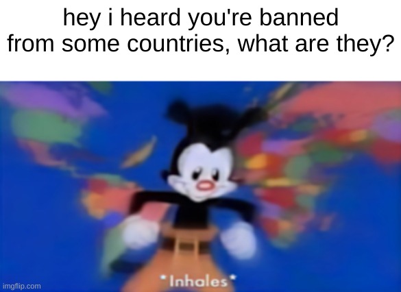 united states canada mexico panama hati jamaca peru- | hey i heard you're banned from some countries, what are they? | image tagged in yakko inhale,inhales | made w/ Imgflip meme maker