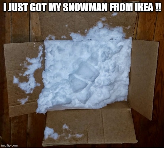 meme by Brad snowman from IKEA | I JUST GOT MY SNOWMAN FROM IKEA !! | image tagged in christmas | made w/ Imgflip meme maker