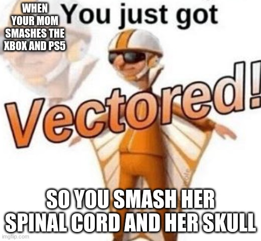 You just got vectored | WHEN YOUR MOM SMASHES THE XBOX AND PS5; SO YOU SMASH HER SPINAL CORD AND HER SKULL | image tagged in you just got vectored | made w/ Imgflip meme maker