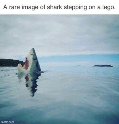 image tagged in memes | made w/ Imgflip meme maker