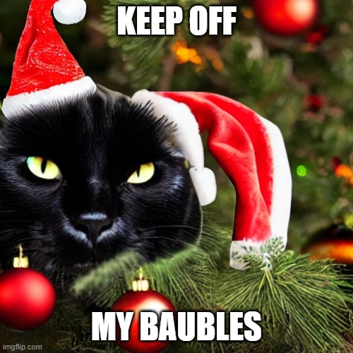 Evil Xmas cat | KEEP OFF; MY BAUBLES | image tagged in evil xmas cat | made w/ Imgflip meme maker