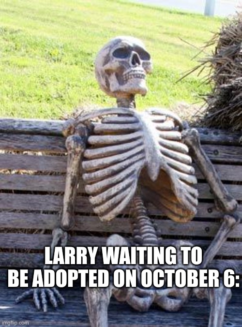 Waiting Skeleton | LARRY WAITING TO BE ADOPTED ON OCTOBER 6: | image tagged in memes,waiting skeleton | made w/ Imgflip meme maker
