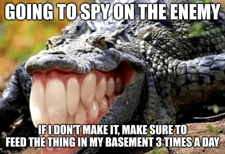 alligator with human teeth | GOING TO SPY ON THE ENEMY; IF I DON'T MAKE IT, MAKE SURE TO FEED THE THING IN MY BASEMENT 3 TIMES A DAY | image tagged in alligator with human teeth | made w/ Imgflip meme maker