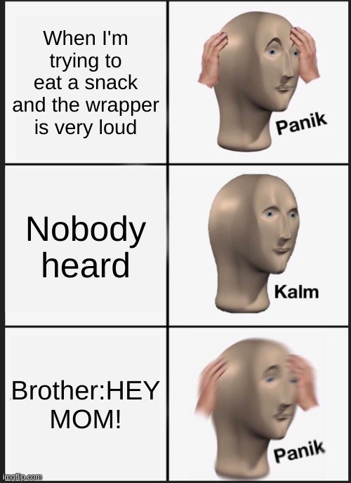 Fr | When I'm trying to eat a snack and the wrapper is very loud; Nobody heard; Brother:HEY MOM! | image tagged in memes,panik kalm panik | made w/ Imgflip meme maker