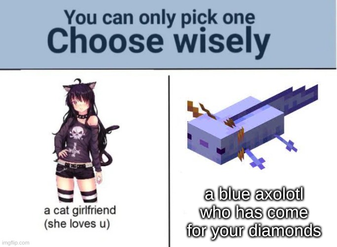 i pick axolotl even if i loose all my diamond | a blue axolotl who has come for your diamonds | image tagged in choose wisely | made w/ Imgflip meme maker