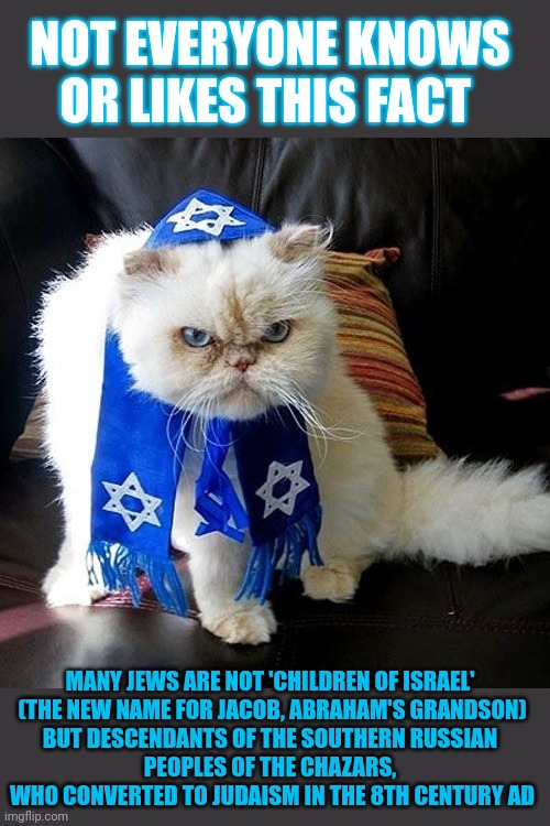 This #lolcat shares a little known fact not everyone likes | NOT EVERYONE KNOWS OR LIKES THIS FACT; MANY JEWS ARE NOT 'CHILDREN OF ISRAEL' 
(THE NEW NAME FOR JACOB, ABRAHAM'S GRANDSON)
BUT DESCENDANTS OF THE SOUTHERN RUSSIAN 
PEOPLES OF THE CHAZARS, 

WHO CONVERTED TO JUDAISM IN THE 8TH CENTURY AD | image tagged in israel jews,jews,ancestry,chazars,lies,education | made w/ Imgflip meme maker