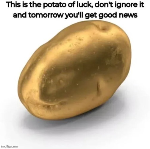 Potato of luck | image tagged in potato of luck | made w/ Imgflip meme maker