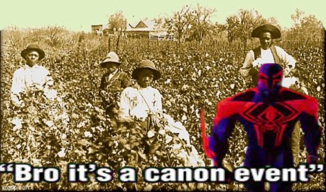 cotton slaves | image tagged in cotton slaves | made w/ Imgflip meme maker