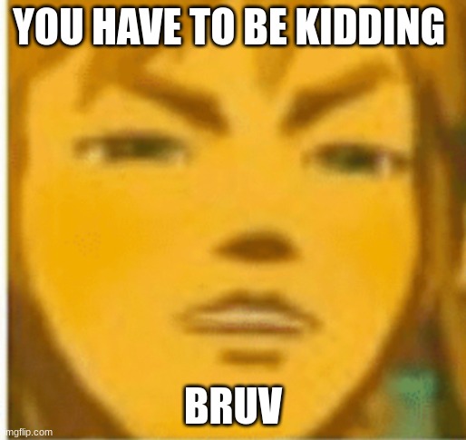 Link bruh | YOU HAVE TO BE KIDDING; BRUV | image tagged in link bruh | made w/ Imgflip meme maker