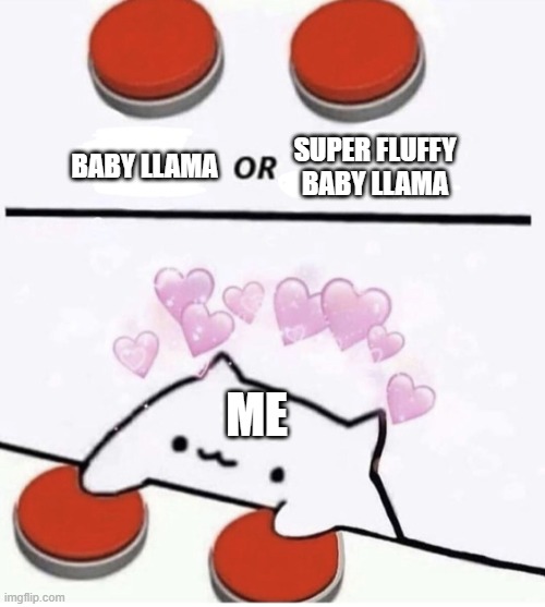 Cat pressing two buttons | BABY LLAMA SUPER FLUFFY BABY LLAMA ME | image tagged in cat pressing two buttons | made w/ Imgflip meme maker