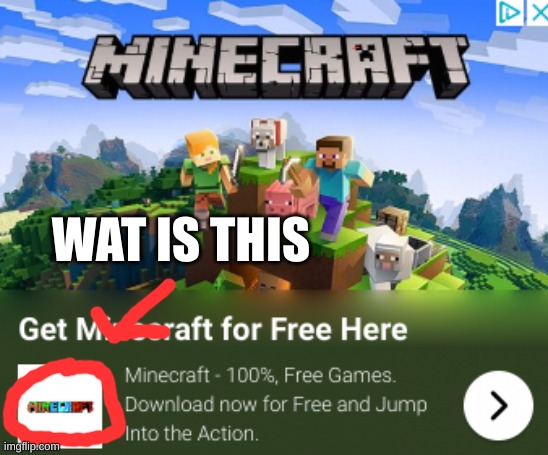 what the hell | WAT IS THIS | image tagged in minecraft,ripoff | made w/ Imgflip meme maker