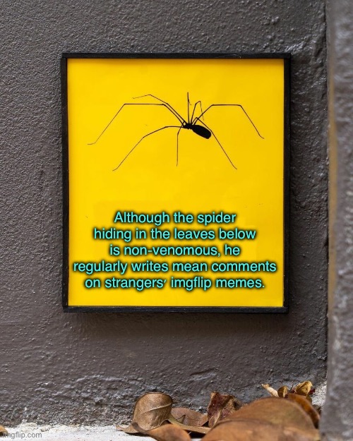 Spider | Although the spider hiding in the leaves below is non-venomous, he regularly writes mean comments on strangers' imgflip memes. | image tagged in it s a spider man,hides in leaves,writes mean comments,on imgflip memes,fun | made w/ Imgflip meme maker