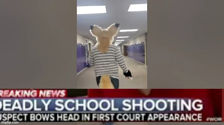 School Shooting | image tagged in furry | made w/ Imgflip meme maker