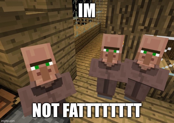 Minecraft Villagers | IM; NOT FATTTTTTTT | image tagged in minecraft villagers | made w/ Imgflip meme maker