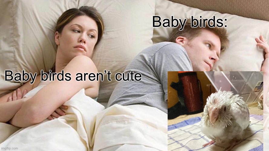 :) | Baby birds:; Baby birds aren’t cute | image tagged in memes,i bet he's thinking about other women | made w/ Imgflip meme maker