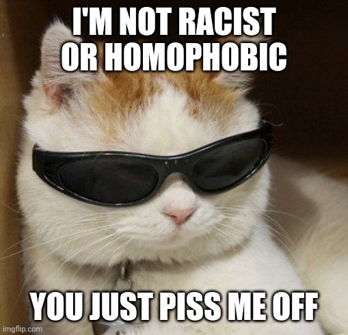 cat in sunglasses | I'M NOT RACIST OR HOMOPHOBIC; YOU JUST PISS ME OFF | image tagged in cat in sunglasses | made w/ Imgflip meme maker