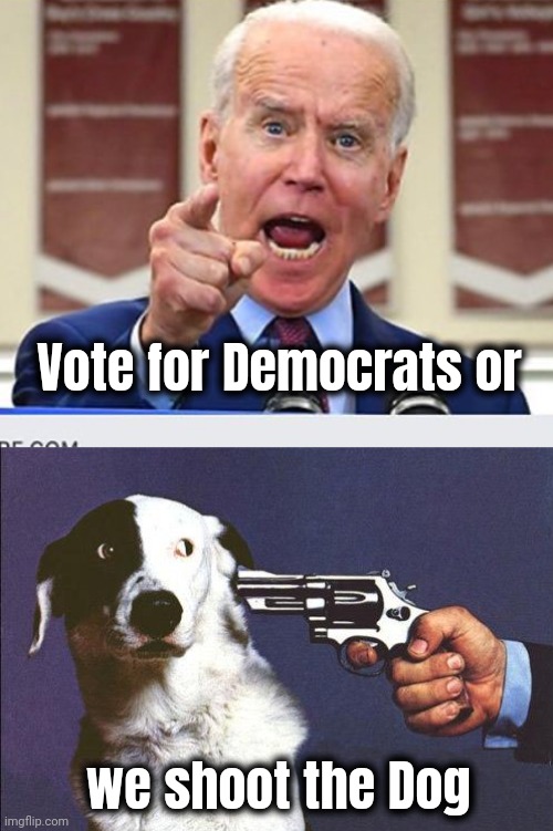 Vote for Democrats or we shoot the Dog | image tagged in joe biden no malarkey,shoot dog | made w/ Imgflip meme maker