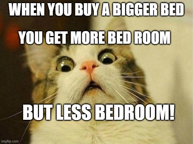I hope this make sense | WHEN YOU BUY A BIGGER BED; YOU GET MORE BED ROOM; BUT LESS BEDROOM! | image tagged in memes,scared cat,bedroom,shower thoughts,mind blown,cats | made w/ Imgflip meme maker