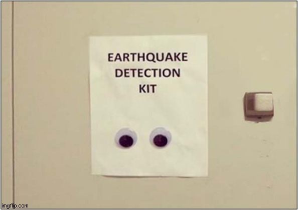 This Just Made Me Smile ! | image tagged in earthquake,detection,googly eyes | made w/ Imgflip meme maker