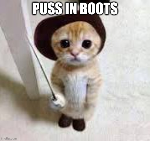 Le puss in boots | PUSS IN BOOTS | image tagged in funny cat memes | made w/ Imgflip meme maker