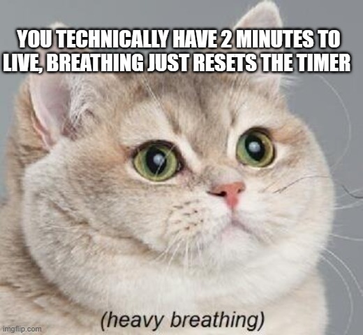 Heavy Breathing Cat | YOU TECHNICALLY HAVE 2 MINUTES TO LIVE, BREATHING JUST RESETS THE TIMER | image tagged in memes,heavy breathing cat,shower thoughts,mind blown,cats | made w/ Imgflip meme maker