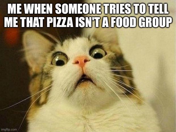 Pizza is not a food | ME WHEN SOMEONE TRIES TO TELL ME THAT PIZZA ISN'T A FOOD GROUP | image tagged in memes,scared cat | made w/ Imgflip meme maker