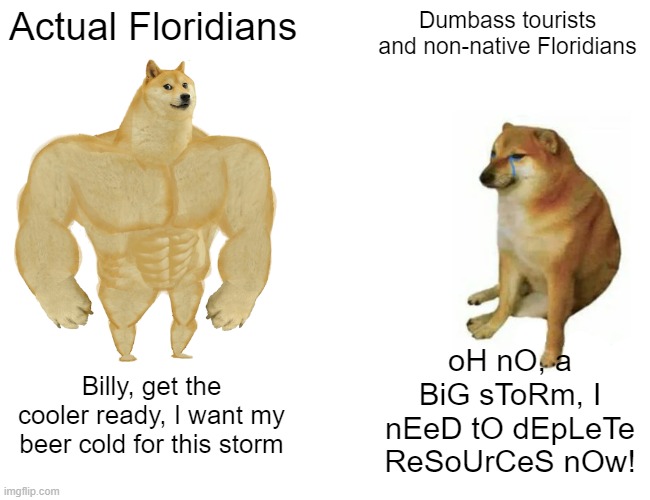 We either board up our windows or get food, we have a good Govener for a reason | Actual Floridians; Dumbass tourists and non-native Floridians; oH nO, a BiG sToRm, I nEeD tO dEpLeTe ReSoUrCeS nOw! Billy, get the cooler ready, I want my beer cold for this storm | image tagged in memes,buff doge vs cheems | made w/ Imgflip meme maker