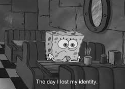 High Quality the day that i lost my identity Blank Meme Template