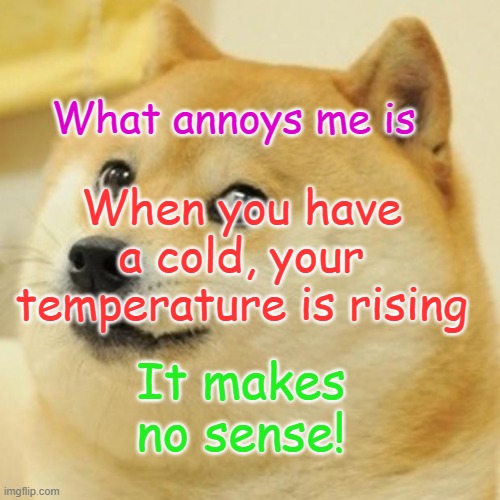 It don't make sense! | What annoys me is; When you have a cold, your temperature is rising; It makes no sense! | image tagged in memes,doge,sick,shower thoughts,mindblown | made w/ Imgflip meme maker