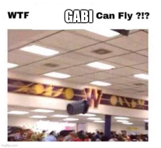 WTF --------- Can Fly ?!? | GABI | image tagged in wtf --------- can fly | made w/ Imgflip meme maker
