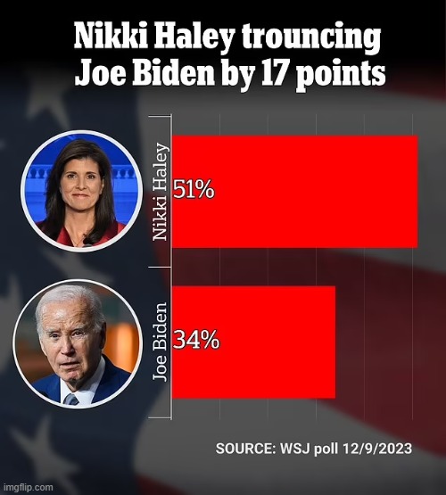 Nikki Haley vs. Joe Biden | image tagged in politics,polls | made w/ Imgflip meme maker