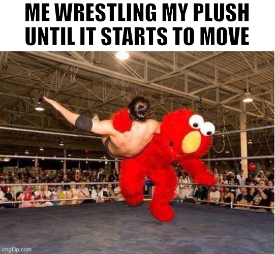 Help | ME WRESTLING MY PLUSH UNTIL IT STARTS TO MOVE | image tagged in elmo tackle,memes,funny,a random meme | made w/ Imgflip meme maker
