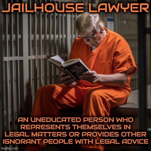 JAILHOUSE LAWYER | JAILHOUSE LAWYER; AN UNEDUCATED PERSON WHO REPRESENTS THEMSELVES IN LEGAL MATTERS OR PROVIDES OTHER IGNORANT PEOPLE WITH LEGAL ADVICE | image tagged in jailhouse lawyer,ignorant,uneducated,illiterate,clueless,stupid | made w/ Imgflip meme maker