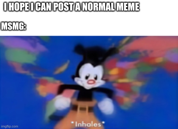 Yakko inhale | I HOPE I CAN POST A NORMAL MEME; MSMG: | image tagged in yakko inhale | made w/ Imgflip meme maker