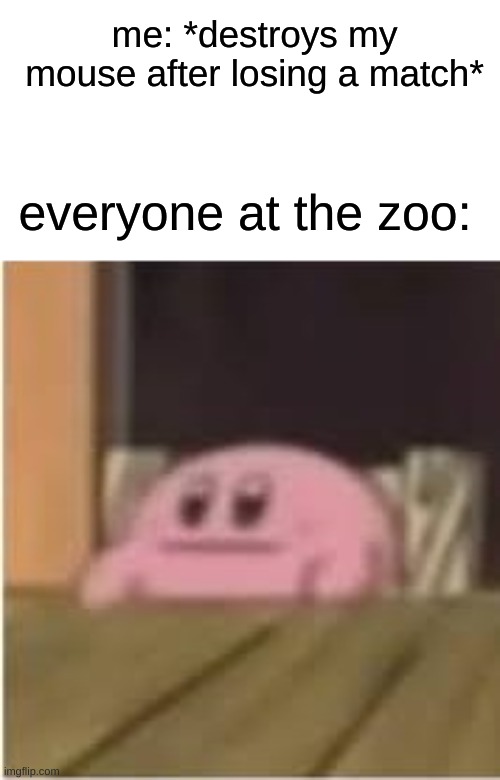 mouse go brrrrrrrrrttt | me: *destroys my mouse after losing a match*; everyone at the zoo: | image tagged in kirby,memes,dark humor | made w/ Imgflip meme maker