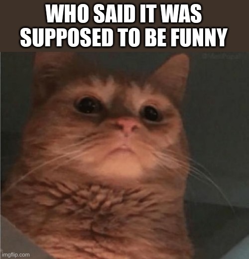 WHO SAID IT WAS SUPPOSED TO BE FUNNY | made w/ Imgflip meme maker