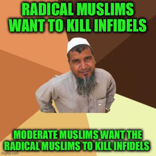 Ordinary Muslim Man Meme | RADICAL MUSLIMS WANT TO KILL INFIDELS MODERATE MUSLIMS WANT THE RADICAL MUSLIMS TO KILL INFIDELS | image tagged in memes,ordinary muslim man | made w/ Imgflip meme maker
