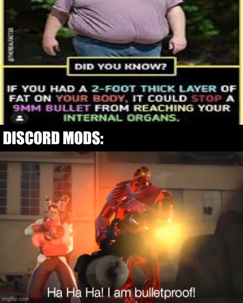 discord mod Memes & GIFs - Imgflip