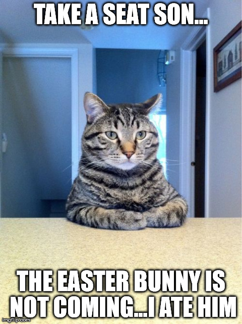 Take A Seat Cat Meme | TAKE A SEAT SON... THE EASTER BUNNY IS NOT COMING...I ATE HIM | image tagged in memes,take a seat cat | made w/ Imgflip meme maker