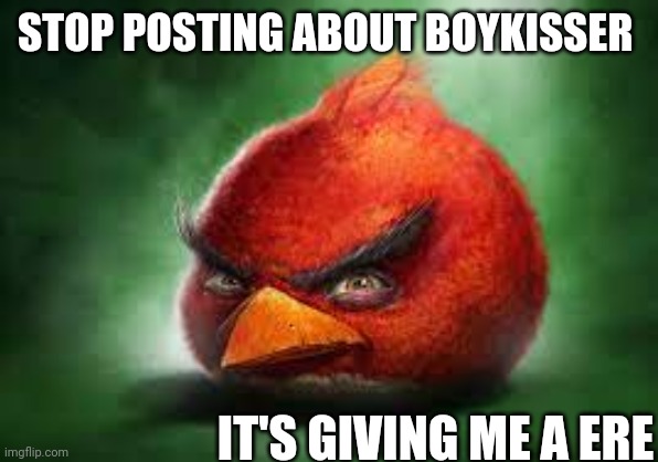 Realistic Red Angry Birds | STOP POSTING ABOUT BOYKISSER IT'S GIVING ME A ERE | image tagged in realistic red angry birds | made w/ Imgflip meme maker