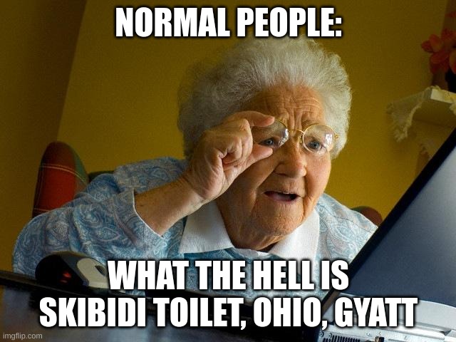 i need even more help | NORMAL PEOPLE:; WHAT THE HELL IS SKIBIDI TOILET, OHIO, GYATT | image tagged in memes,grandma finds the internet | made w/ Imgflip meme maker