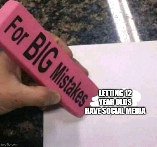 especially "you begged for upvotes now beg for forgiveness" mfs | LETTING 12 YEAR OLDS HAVE SOCIAL MEDIA | image tagged in for big mistakes | made w/ Imgflip meme maker