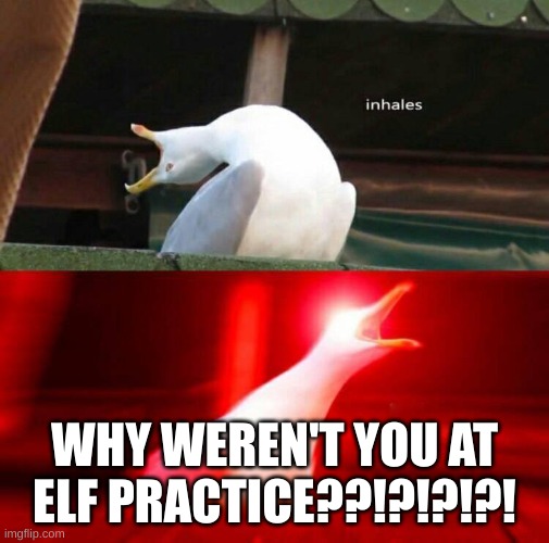 Inhaling Seagull  | WHY WEREN'T YOU AT ELF PRACTICE??!?!?!?! | image tagged in inhaling seagull | made w/ Imgflip meme maker