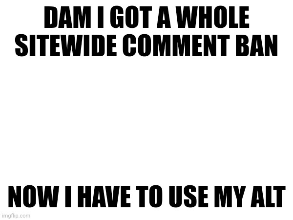 Its because of the lgbt-too raid, its only 24 hours so dw I'll be back to tell people I don't like to kts in due time. | DAM I GOT A WHOLE SITEWIDE COMMENT BAN; NOW I HAVE TO USE MY ALT | made w/ Imgflip meme maker