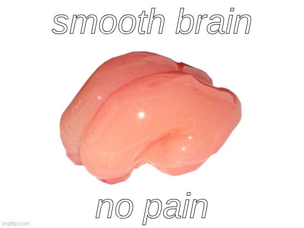 yeah brainiac | smooth brain; no pain | image tagged in brain,pain | made w/ Imgflip meme maker