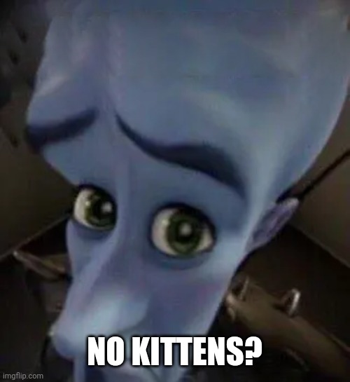 megamind no b | NO KITTENS? | image tagged in megamind no b | made w/ Imgflip meme maker