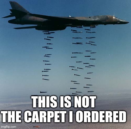 Carpet bombing Tora-bora | THIS IS NOT THE CARPET I ORDERED | image tagged in carpet bombing tora-bora | made w/ Imgflip meme maker