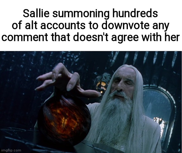 Gandalf summon | Sallie summoning hundreds of alt accounts to downvote any comment that doesn't agree with her | image tagged in gandalf summon | made w/ Imgflip meme maker